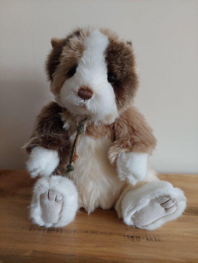 Preview of the first image of Charlie bear Cavy in excellent as new condition.
