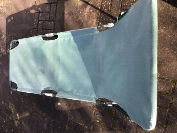 Image 2 of Sun lounger with cushion