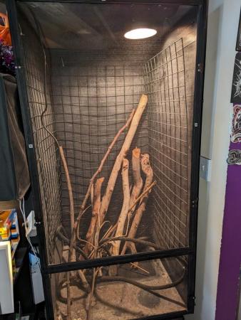 Image 2 of Zoo Med Reptibreeze XL enclosure plus branches and heat lamp