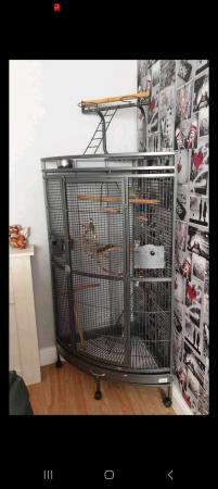 Image 2 of Liberta corner parrot cage with play stand on top
