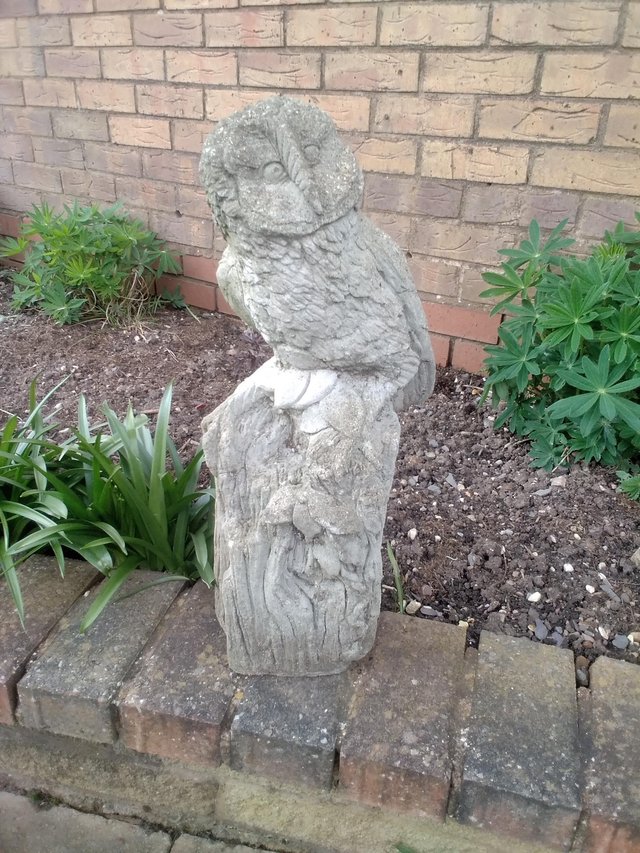 Preview of the first image of A solid concrete garden owl ornament.