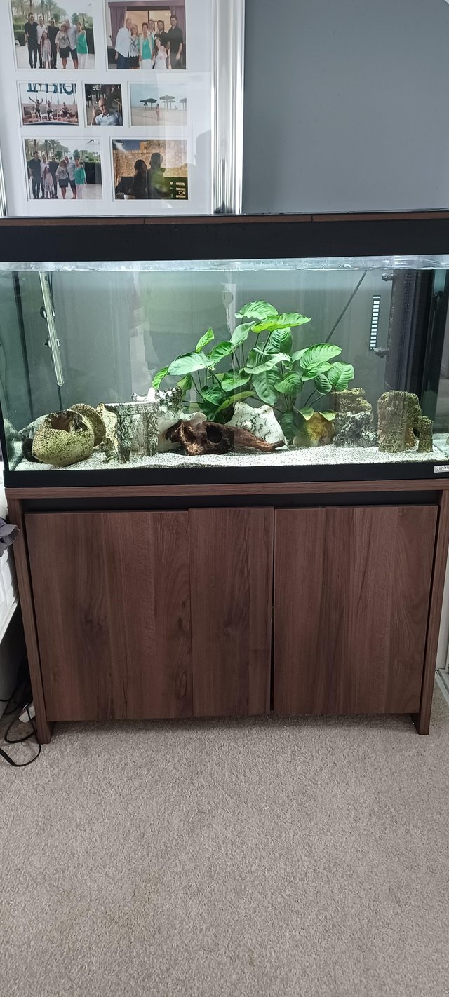 Preview of the first image of ?? Fluval Roma 200 Aquarium - Complete Setup ??.
