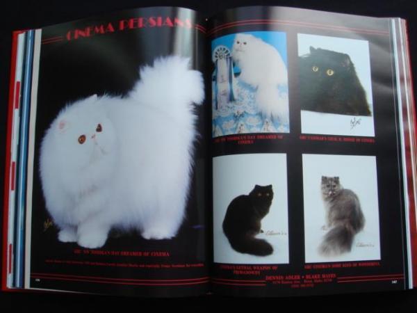 Image 2 of CFA (USA) Year Book Pedigree Show Cats GCCF Persian Siamese