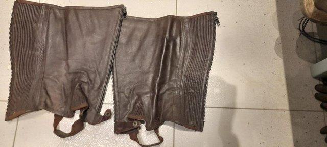 Image 1 of Brown Leather Chaps good condition