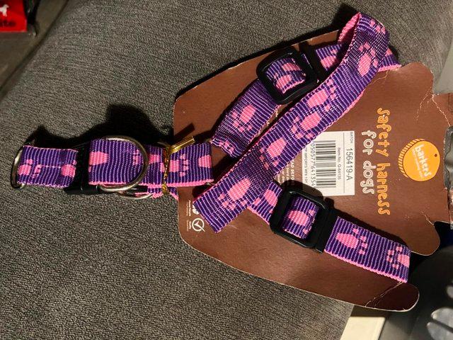 Preview of the first image of Dog harness one red and four purple for dogs up to 10kg.