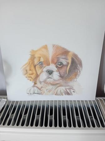 Image 3 of Hand Drawn Pet Portraits Of Your Beloved pets