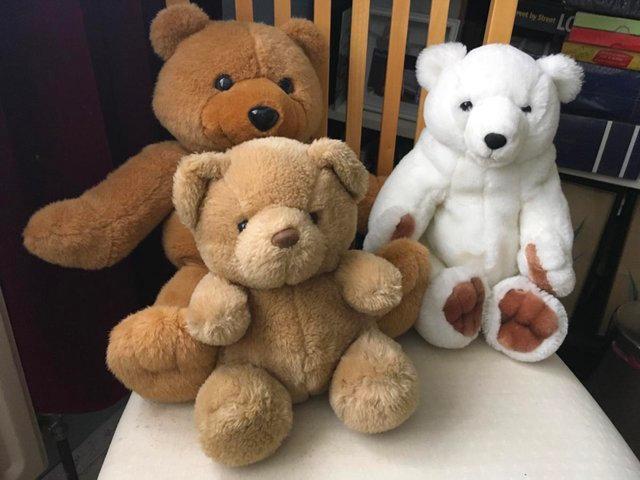 Preview of the first image of Three teddy bears needing rehoming.