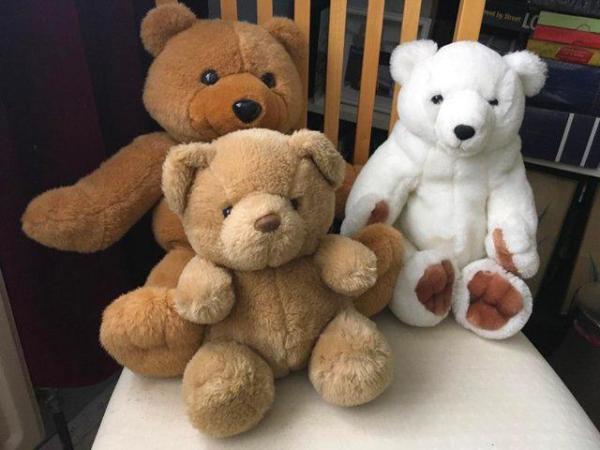 Image 1 of Three teddy bears needing rehoming