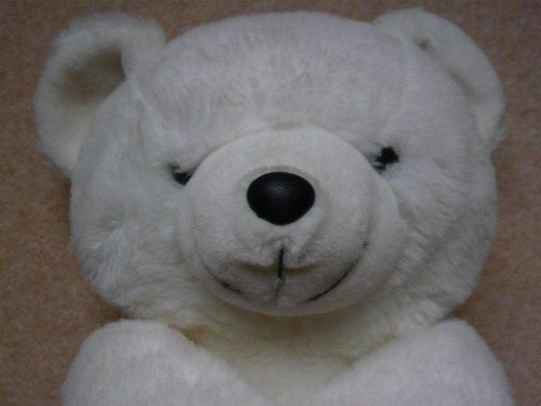 Image 3 of Teddy bear - large, white, excellent condition