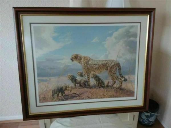 Image 5 of WILDLIFE SIGNED LIMITED EDITION PRINT COLLECTION # FRAMED
