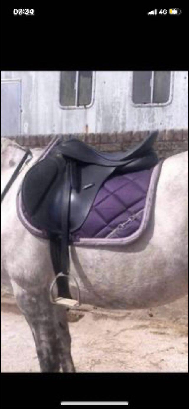 Preview of the first image of Wintec GP Saddle interchangeable gullet system.