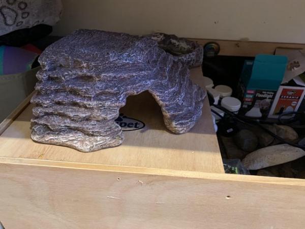 Image 4 of Tortoise table and full set up