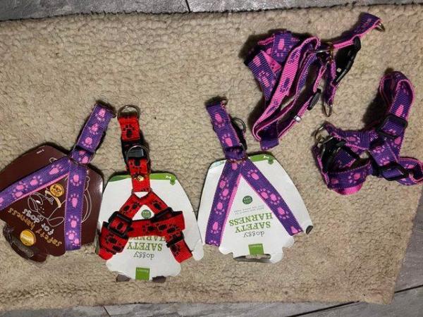 Image 5 of Dog harness one red and four purple for dogs up to 10kg
