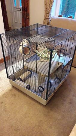 Image 1 of Furet XL Ferplast cage for rats