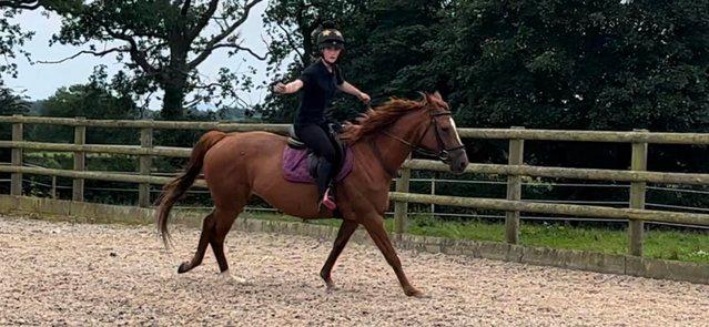 Image 11 of Stunning 6yr old 15,2hh Chestnut Mare