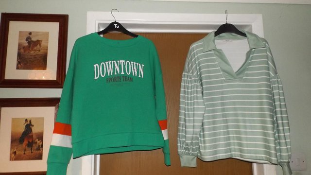 Image 1 of Two Tops (downsizing all my clothes)