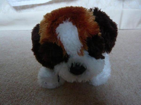 Image 2 of Soft toy dog NB Not suitable for children under 12 months