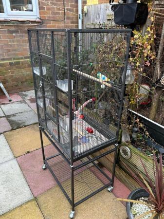 Image 2 of Flight cage for finches or parakeets