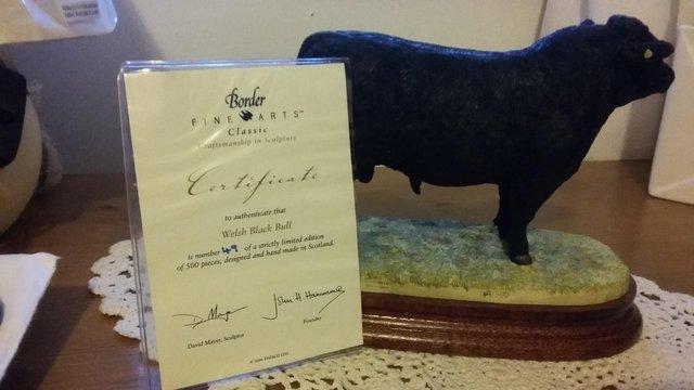Image 3 of Border fine art limited edition Welsh Black Bull cattle