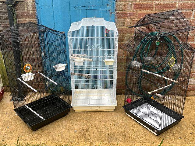 Preview of the first image of Selection of bird cages for sale.