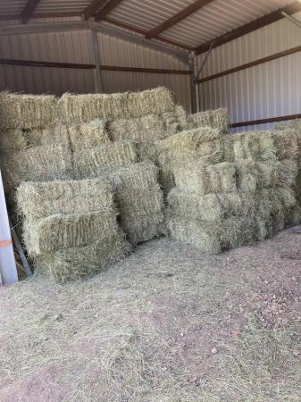 Image 1 of New meadow hay collected and bales last week