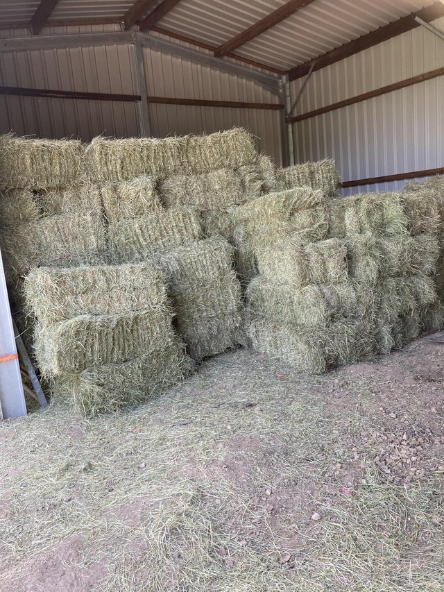 Preview of the first image of New meadow hay collected and bales last week.