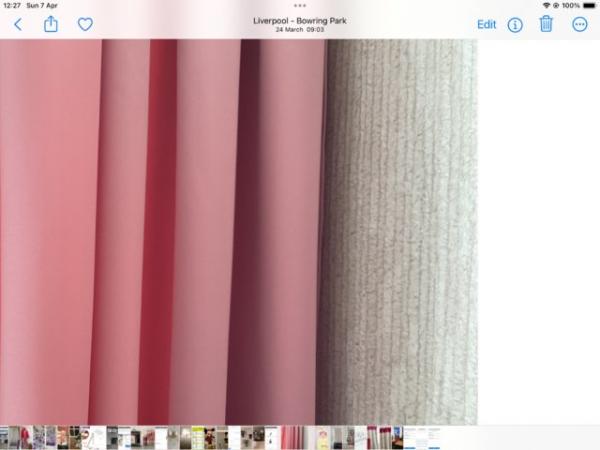 Image 2 of Pair curtains nice pink colour 72x66