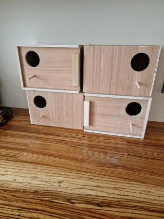 Image 4 of Budgerigar wooden nest boxes.