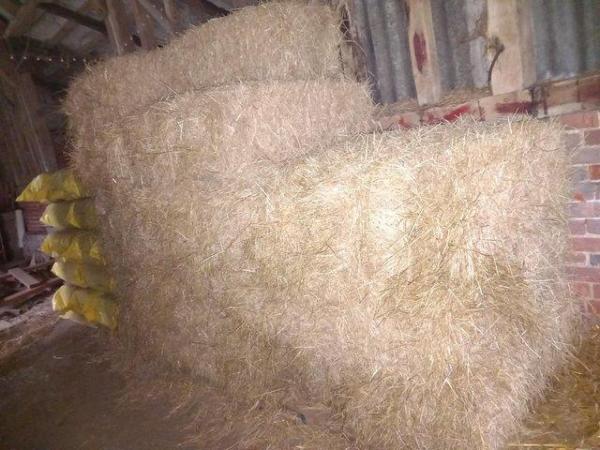 Image 2 of Spare hay haylage dye loss horse