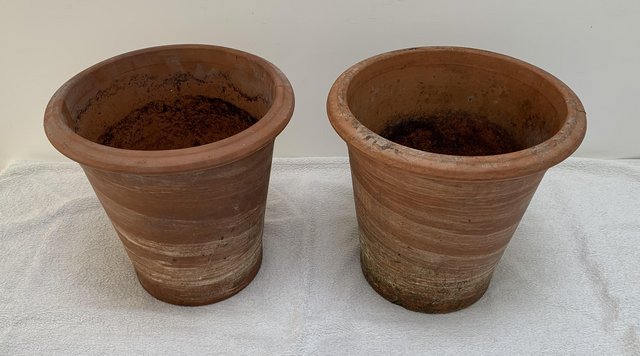 Preview of the first image of Pair of round planters ..