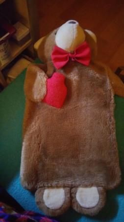 Image 1 of large bear hot water bottle brand new!