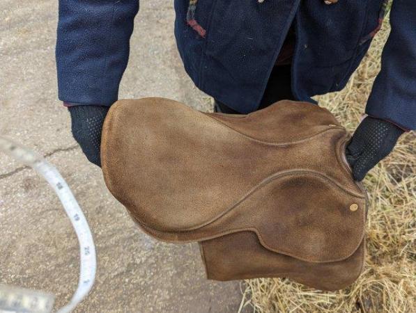 Image 3 of Fylde Hayden saddle 15.5 inch stamped wide