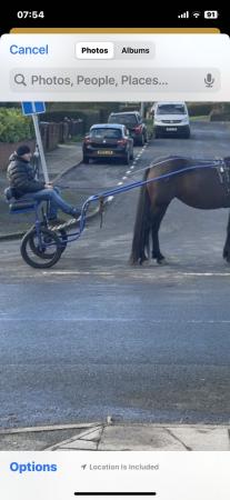 Image 1 of Horse cart to fit 13hh to 16hh SOLD