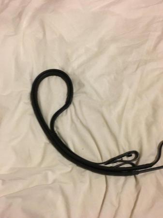 Image 5 of Albion horse bridle and brand new Albion reins