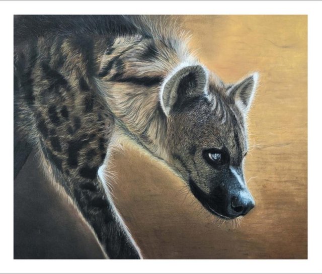 Preview of the first image of Limited Edition Glicee Print of Pastel Art - "Loan Hyena".