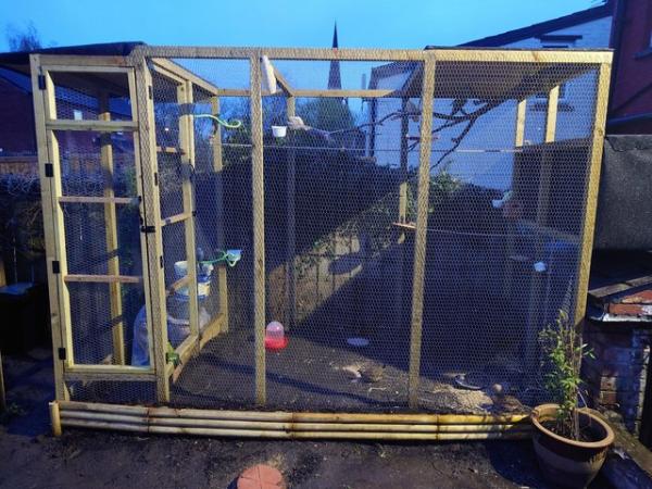 Image 2 of Aviary Waiting for Birds (Injured/Rescues Welcome)