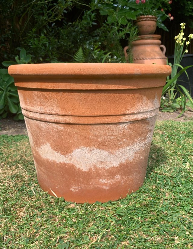 Preview of the first image of Lovely heavy terracotta plant pot.