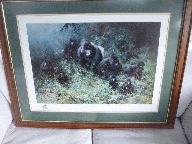 Preview of the first image of David Shepherd Limited Edition Signed print of 'The Gorillas.