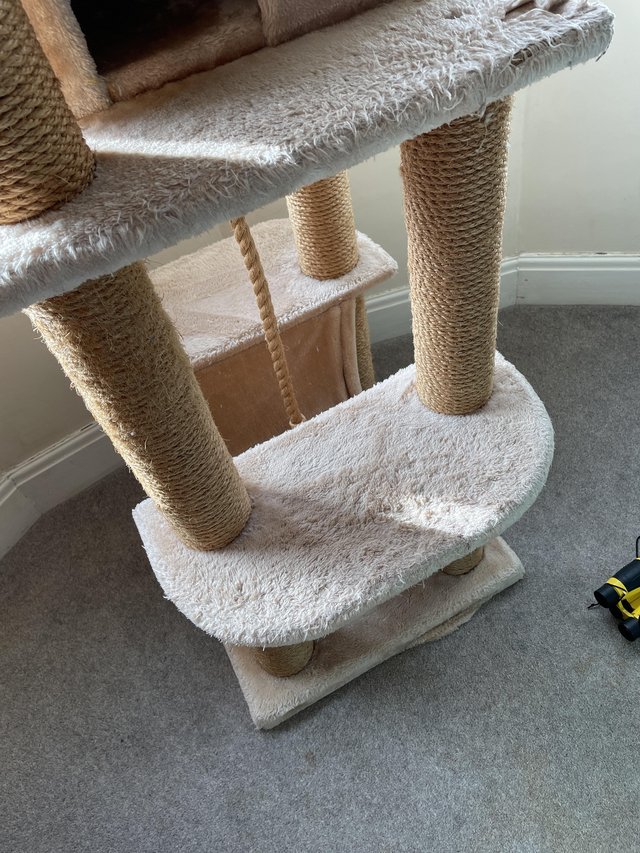 Cat tree 2024 second hand