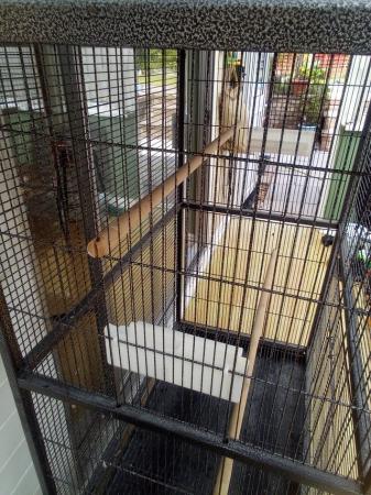 Image 7 of Very large bird cage for sale. REDUCED