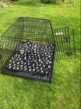 Image 3 of Dog Cage/crate Pet World double/single for car