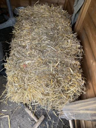 Image 1 of Bale of straw large bale of straw