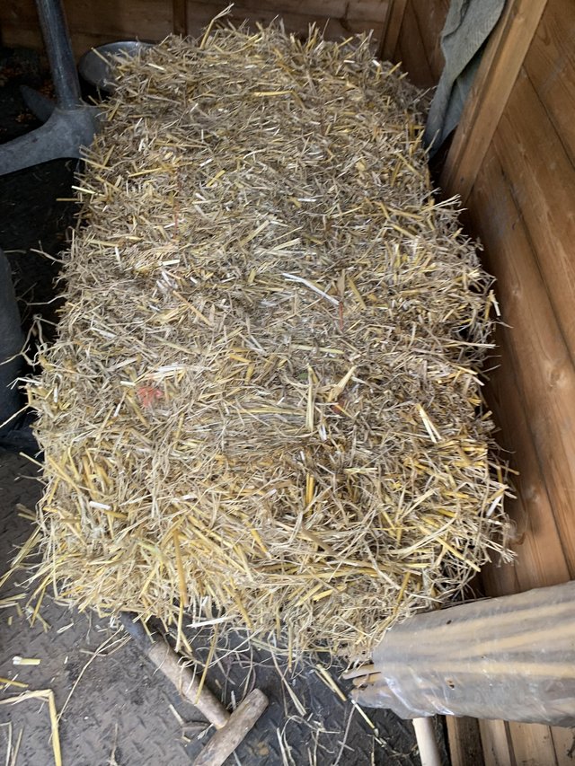 Preview of the first image of Bale of straw large bale of straw.
