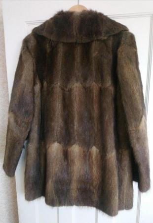 Image 2 of Vintage (1980) Muskrat Fur Jacket