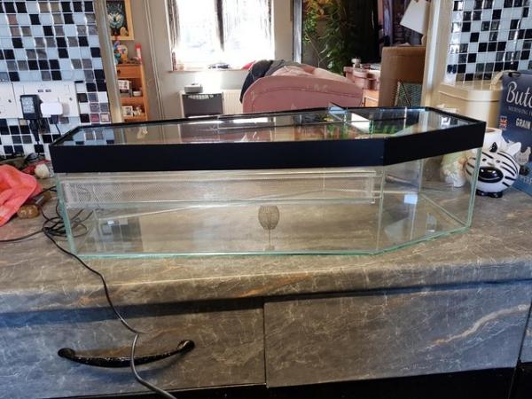 Image 5 of Glass coffin terrarium for sale