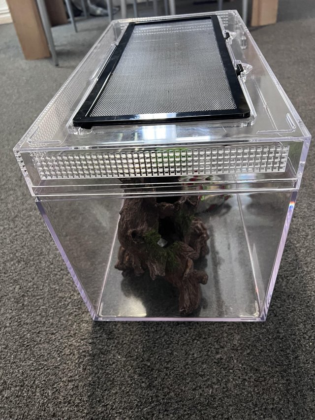 Preview of the first image of Terrarium / vivarium like new.