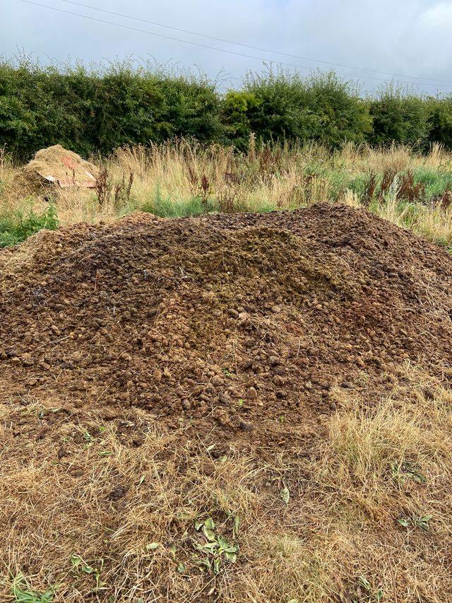 Preview of the first image of Free organic rotted Horse Manure.