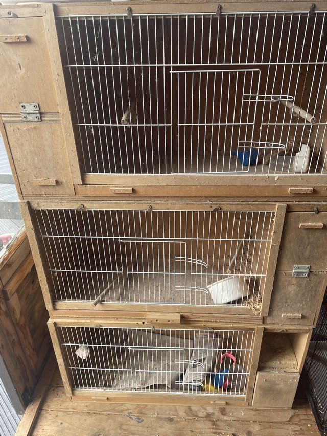 Preview of the first image of Used Budgie breed cages for sale.