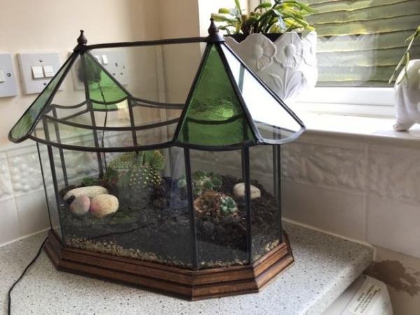 Image 2 of Terrarium 50 or 60 years old planted leaded coloured glass