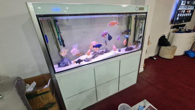 Image 4 of 5ft fishtank comes with everything